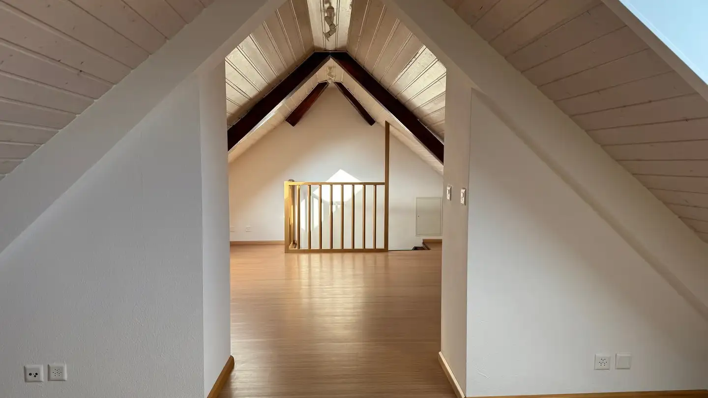 Duplex for rent - Herrengrabenweg 13, 4054 Basel - Photo 3