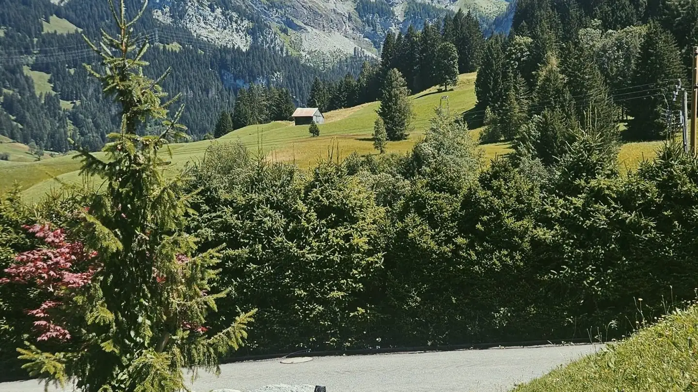 Chalet for sale - 3785 Gsteig b. Gstaad - Photo 3