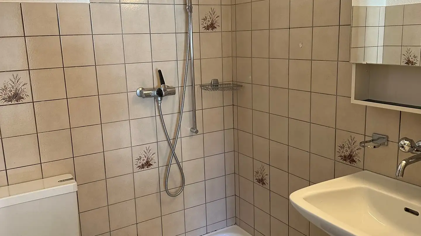 Studio à louer - Bärenwilerstrasse 6, 4438 Langenbruck - Photo 4