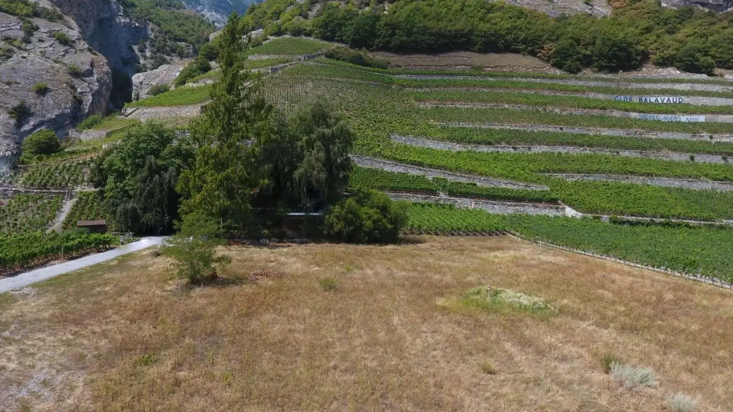 Terreno edificabile in vendita - 1963 Vétroz - Photo 2