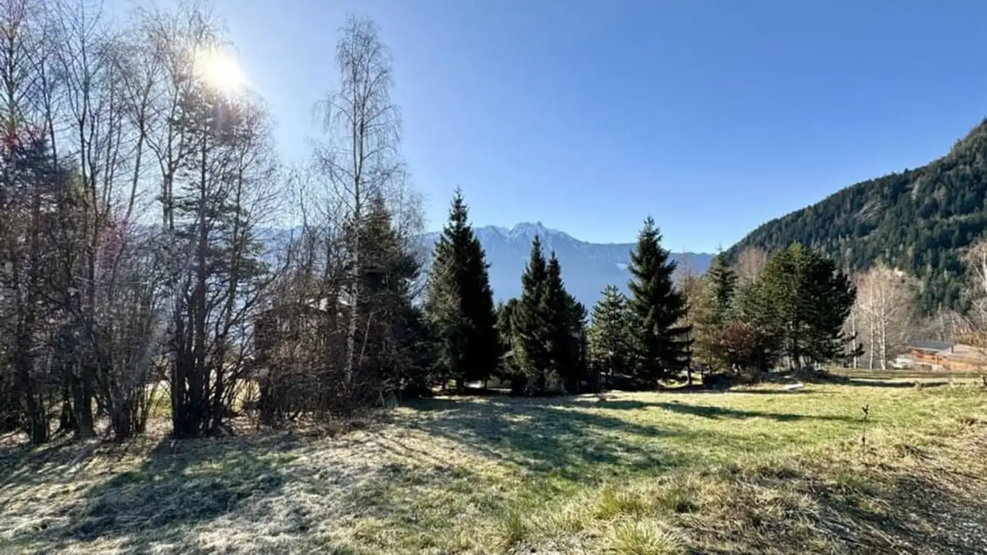 Terreno edificabile in vendita - 1911 Ovronnaz