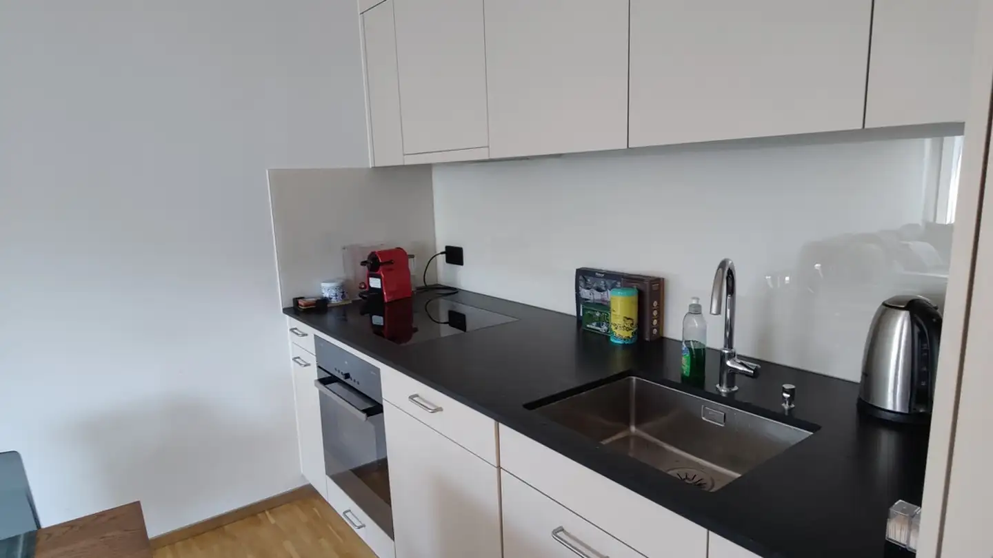 Appartement à louer - Anemonenstrasse 42, 8047 Zürich - Photo 3