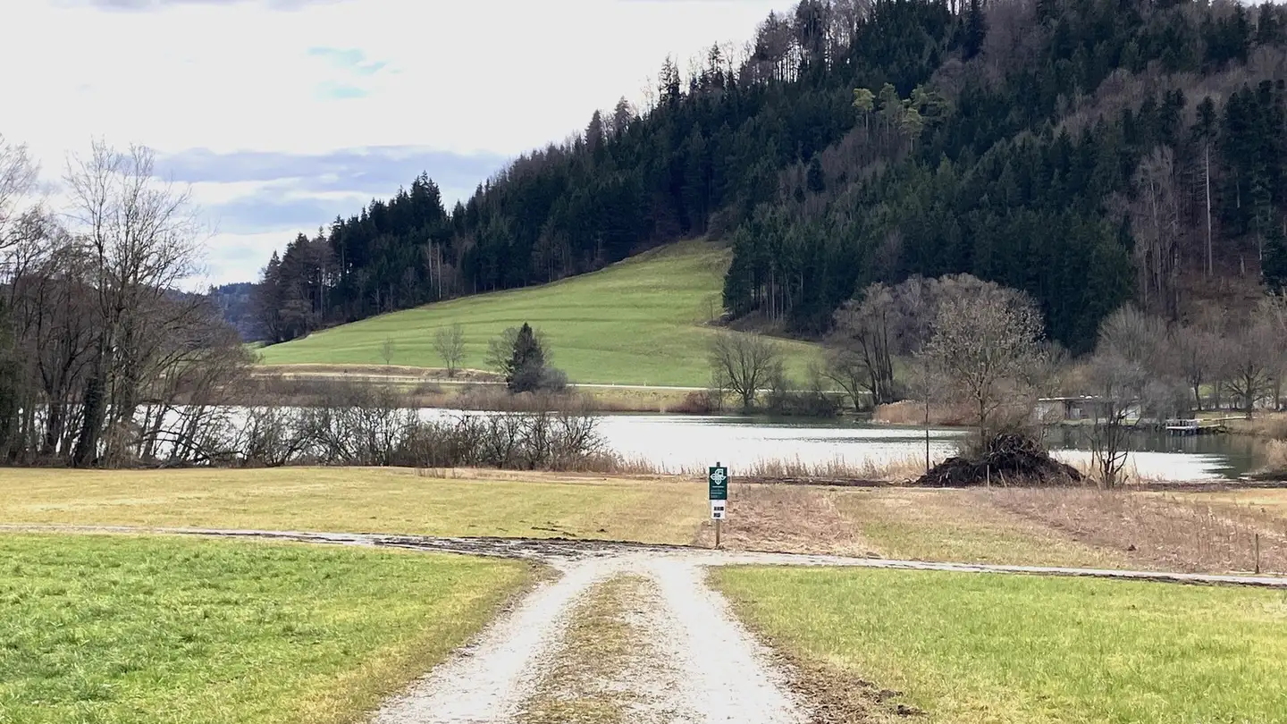 Fattoria in vendita - 8884 Oberterzen