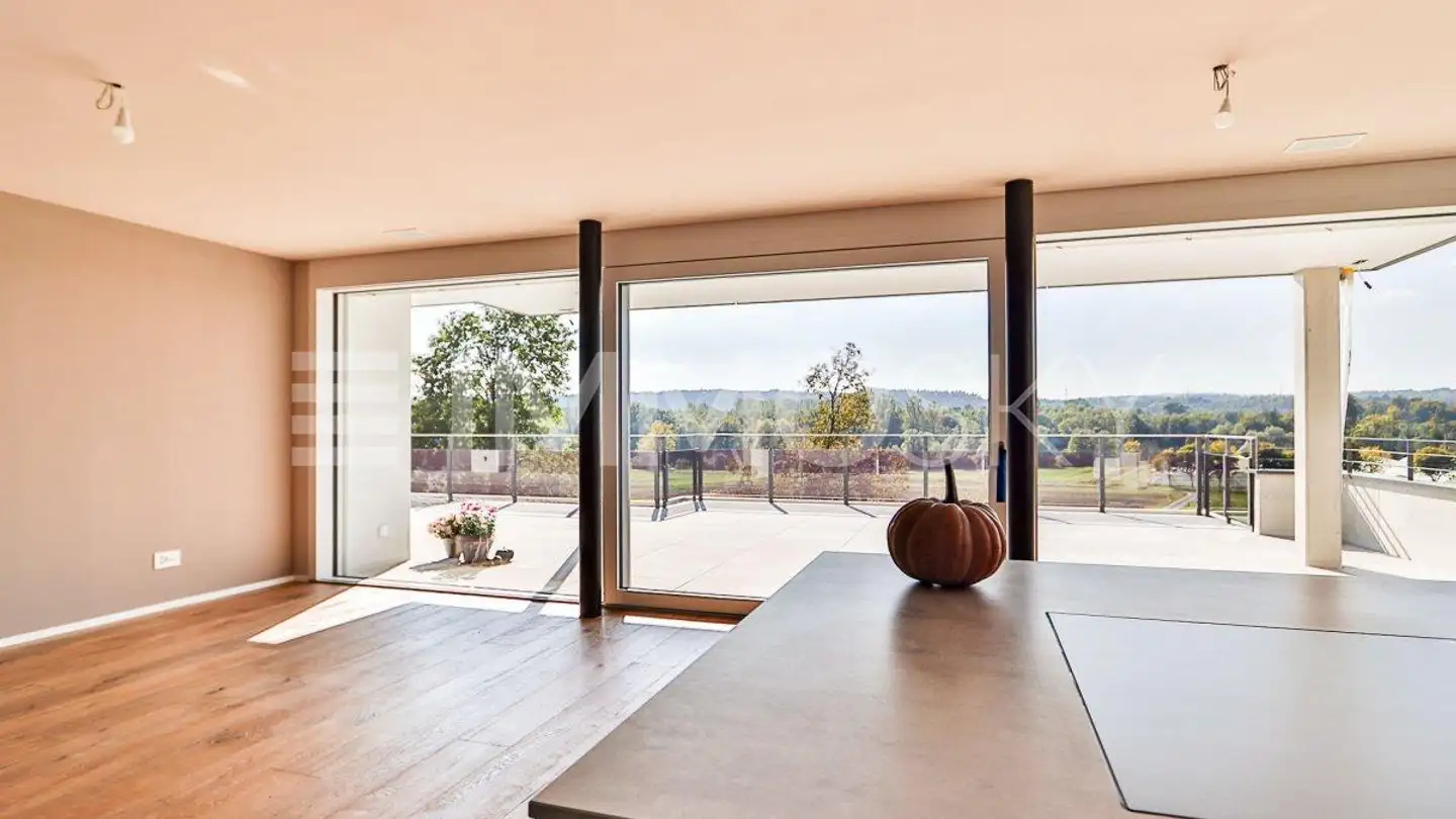 Single house for sale - 5445 Eggenwil - Photo 2