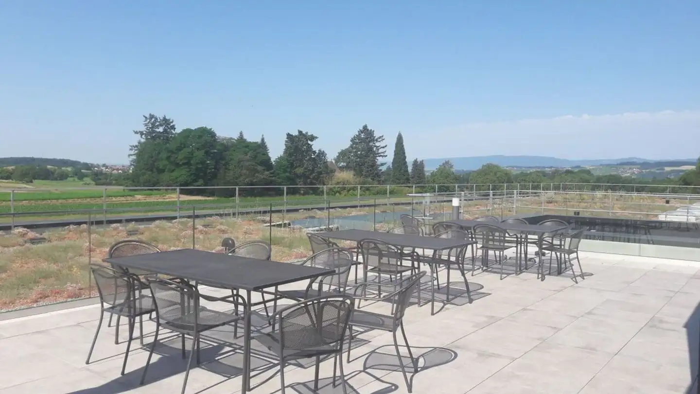 Office space for rent - Merlachfeld, 3280 Murten - Photo 3