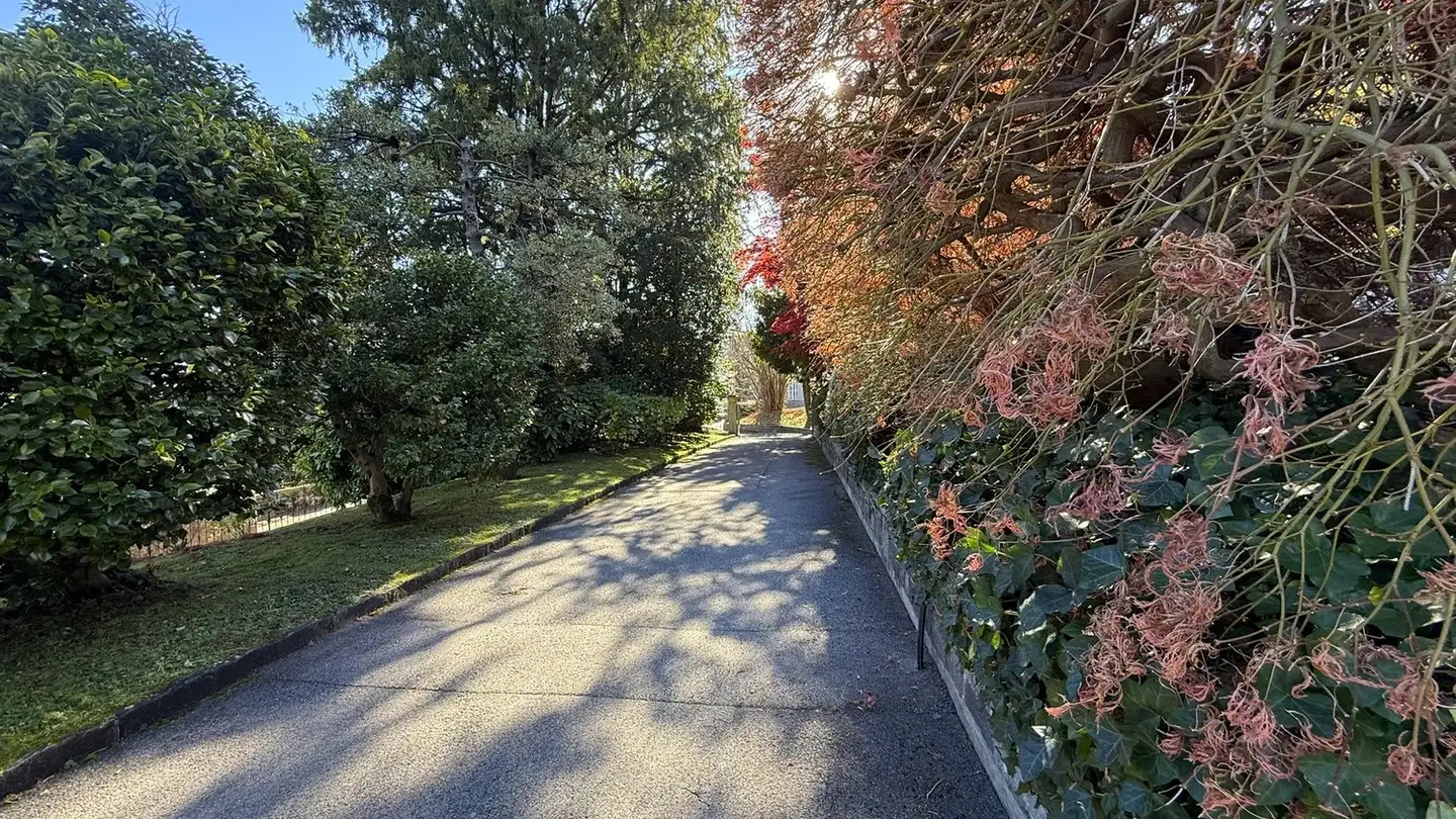 Wohnung kaufen - 6927 Agra - Foto 3