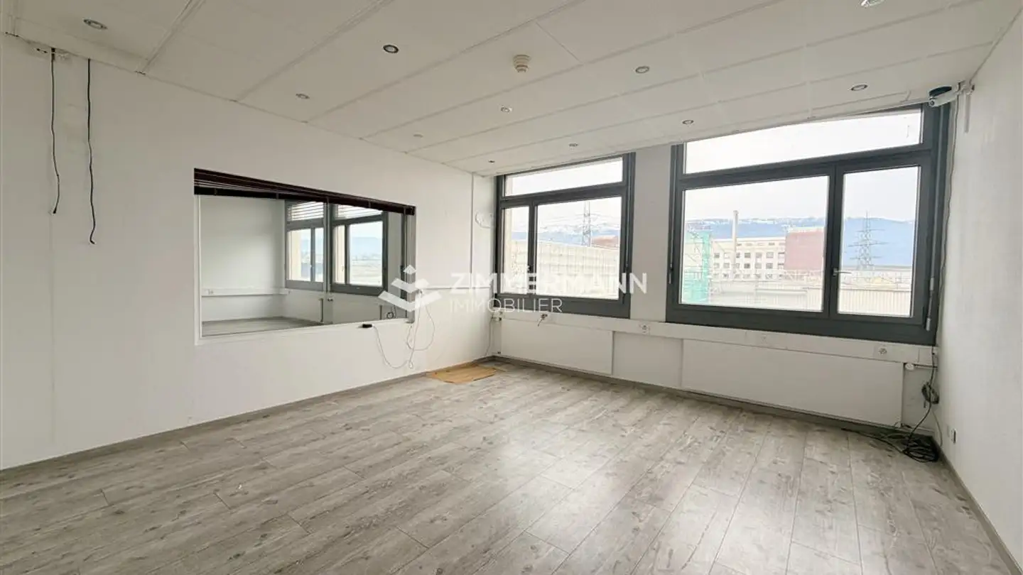 Negozio in affitto - Rue Du Pré-Bouvier, 1242 Satigny - Foto 4