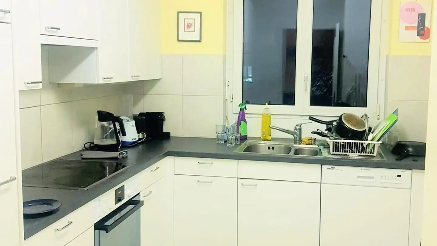 Chambre à louer - Giesshübelstrasse 10, 8045 Zürich - Photo 4