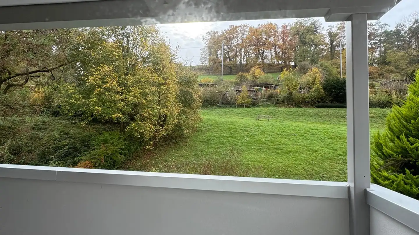 Apartment for rent - Sonnenhofstrasse, 8952 Schlieren - Photo 4