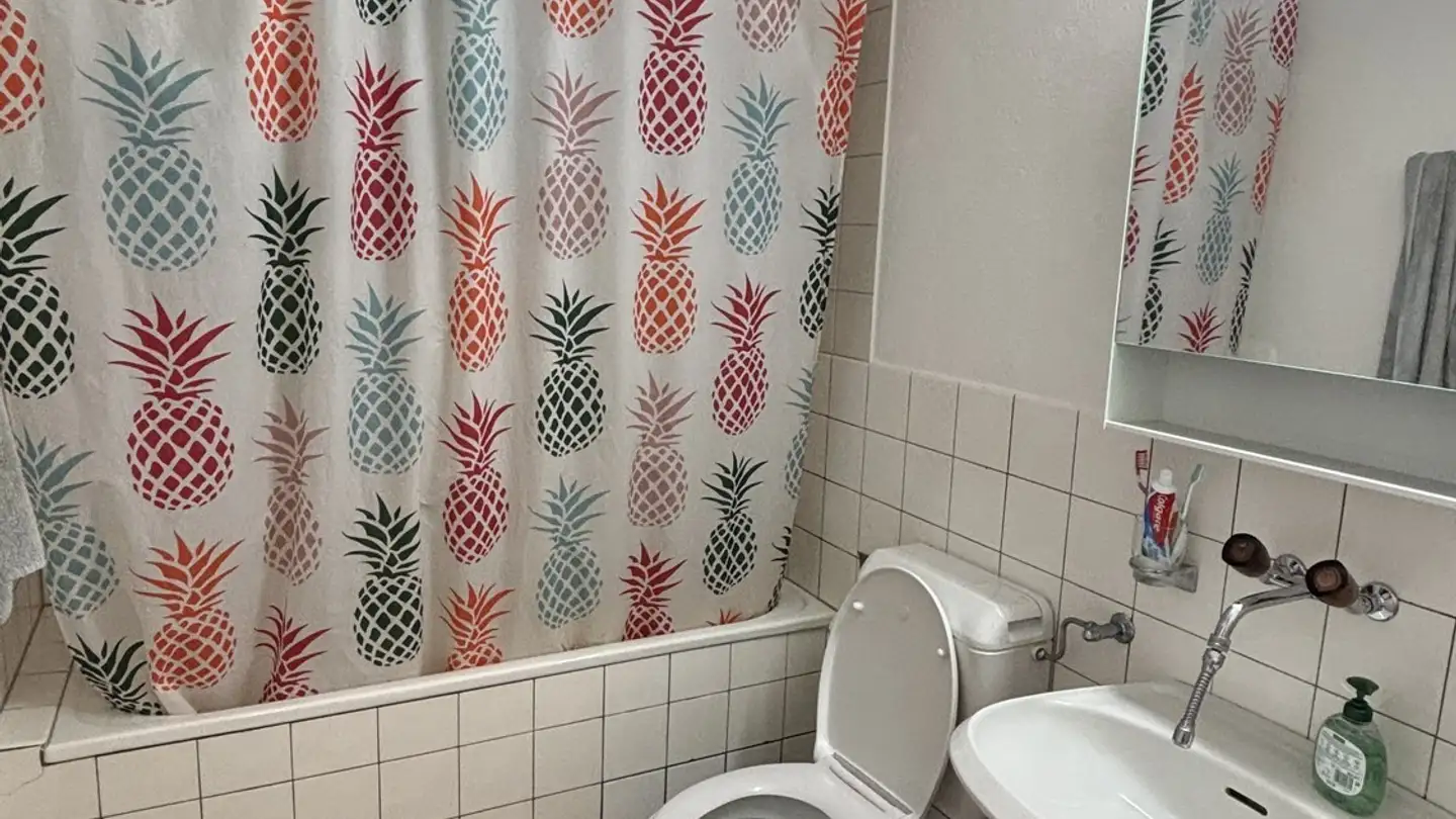 Single room for rent - Neuenkirchstrasse 23, 6020 Emmenbrücke - Photo 3