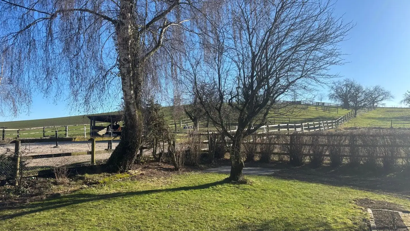 Apartment for rent - Kastelhofweg 67, 8155 Niederhasli - Photo 3