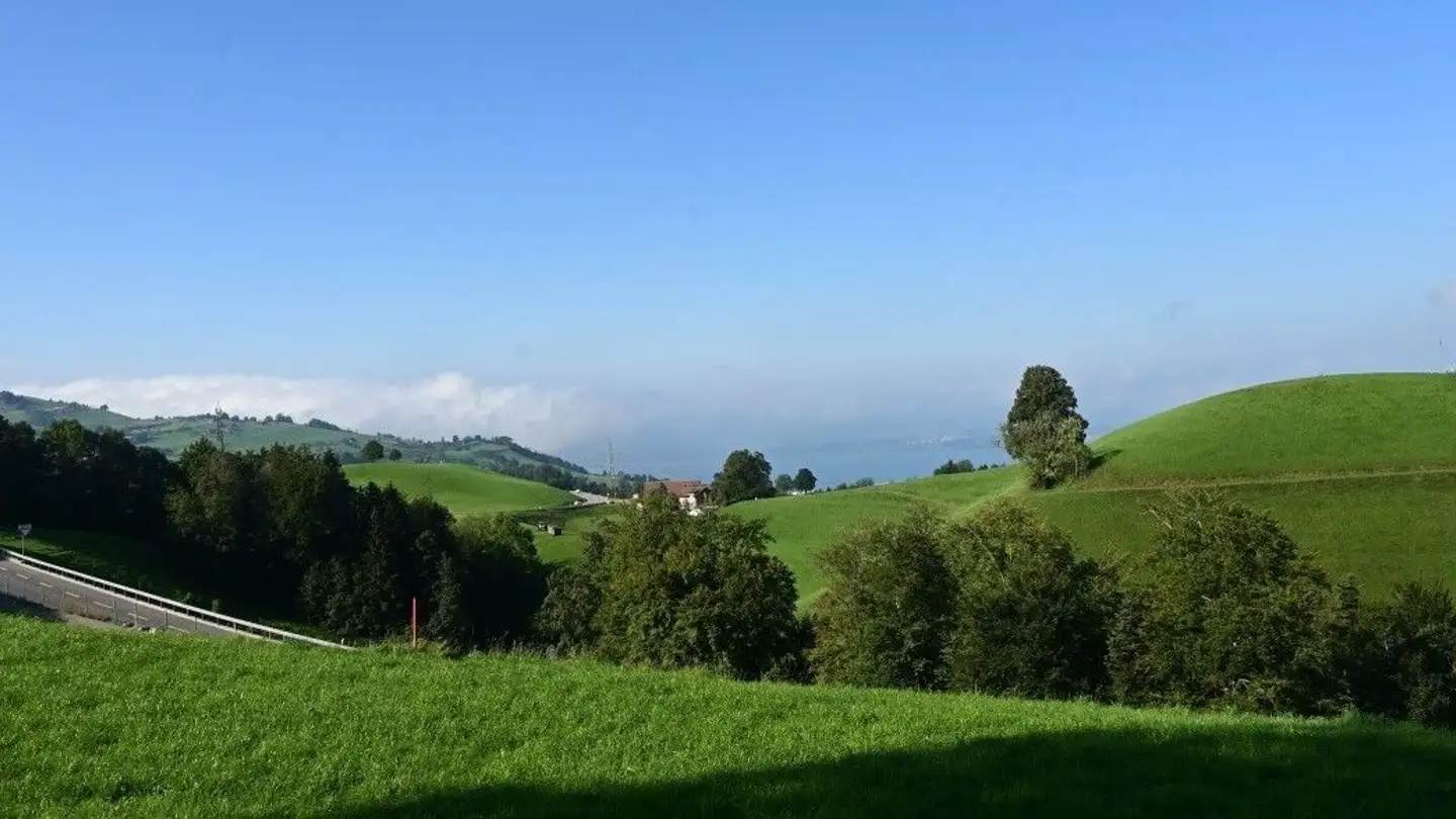 Stanza singola in affitto - Sonnmatt 1, 6313 Edlibach - Foto 3