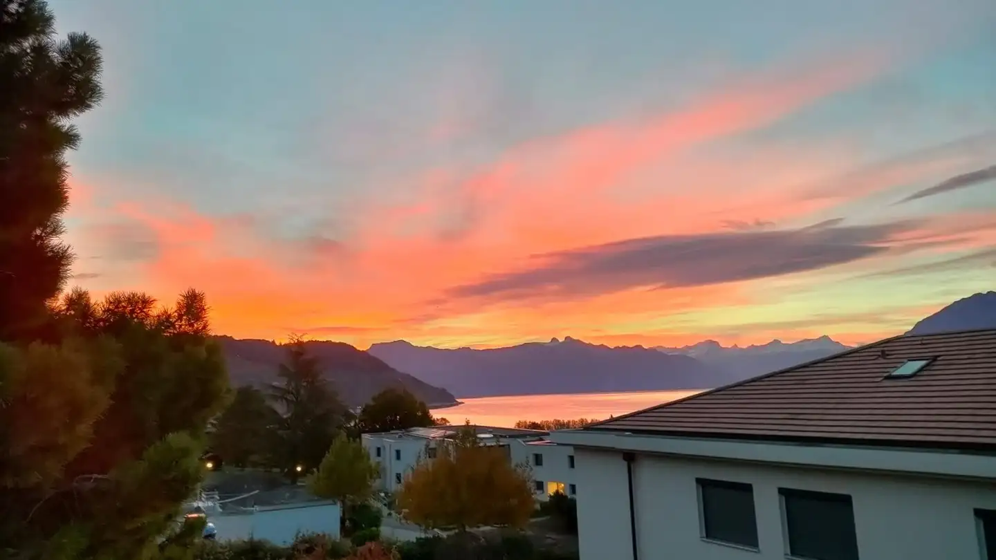 Appartement à louer - 1096 Cully - Photo 2