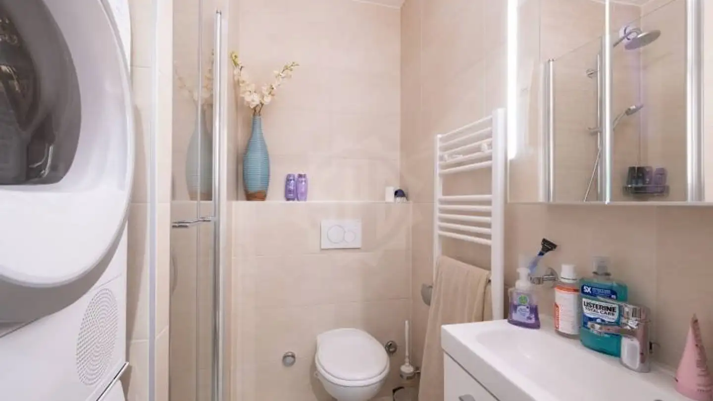 Appartement à louer - Rue Pedro- Meylan 6, 1208 Genève - Photo 4