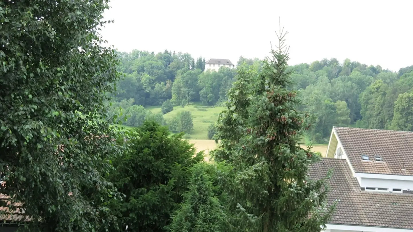 Appartamento in affitto - Hintergasse 42, 8353 Elgg - Foto 3