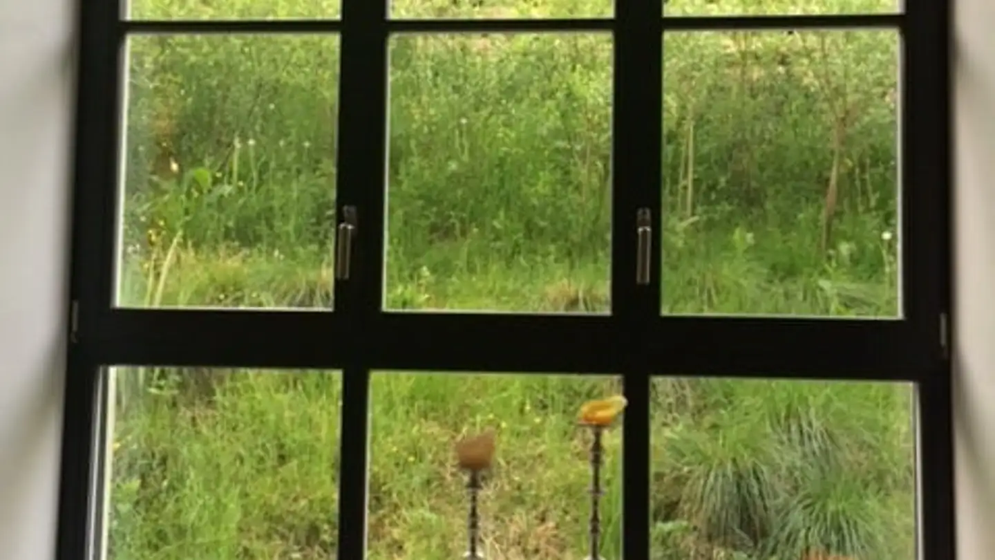 Appartamento in affitto - Weiherweg 8, 8604 Volketswil - Foto 4