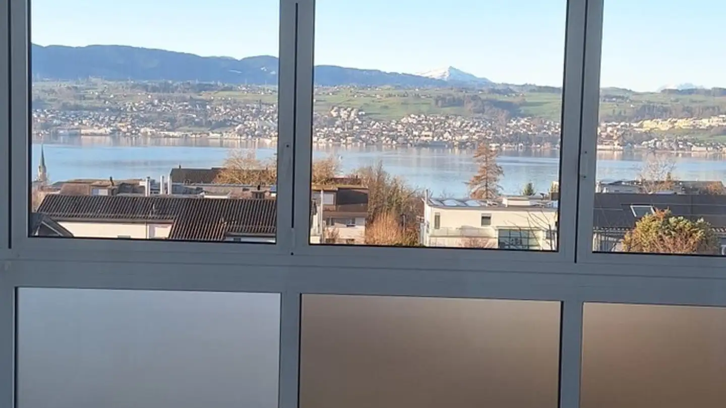 Einfamilienhaus mieten - 8708 Männedorf