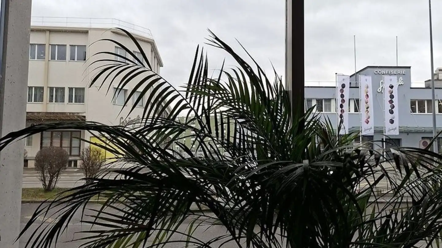 Office space for rent - Bernstrasse 90, 8953 Dietikon - Photo 3