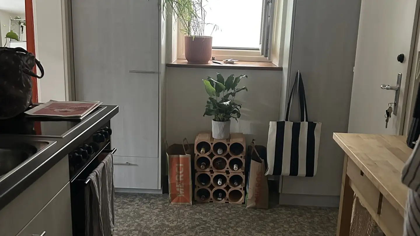 Appartement à louer - Rue Du Tilleul / Lindengasse, 1700 Fribourg - Photo 4