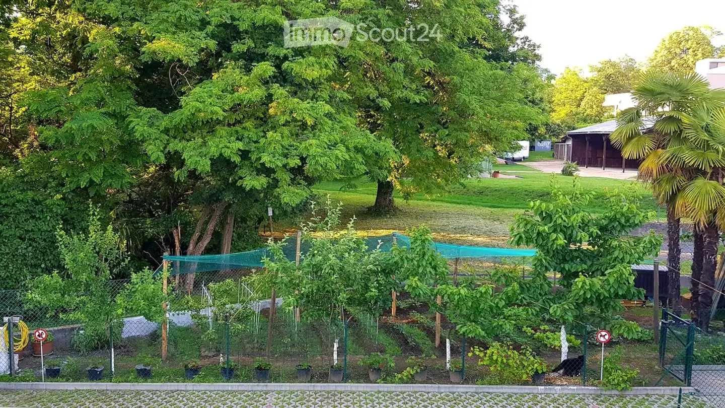 Single house for sale - 6814 Cadempino - Photo 2