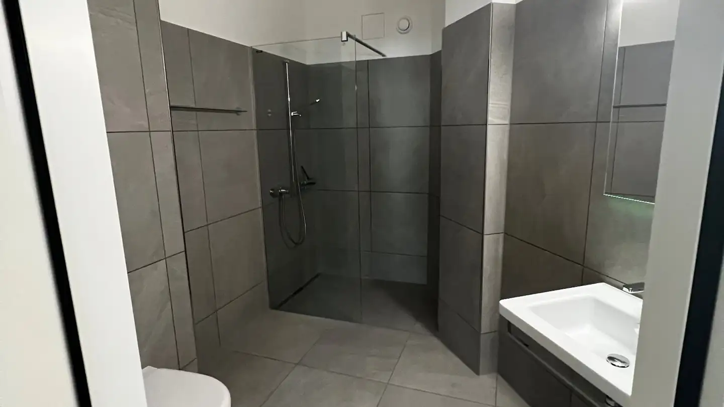 Appartamento in affitto - Talwiesenstrasse 123, 8055 Zürich - Foto 4