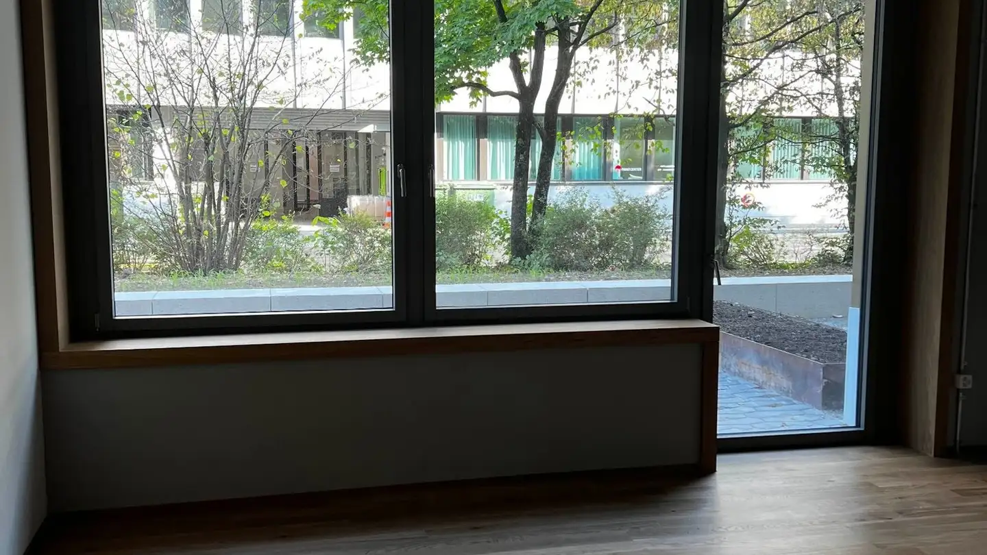 Appartamento in affitto - Talwiesenstrasse 123, 8055 Zürich - Foto 3