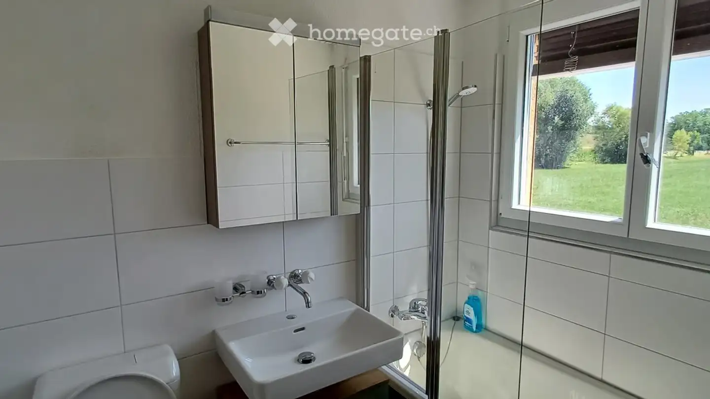 Apartment for rent - Fröscherengasse 16, 6244 Nebikon - Photo 3
