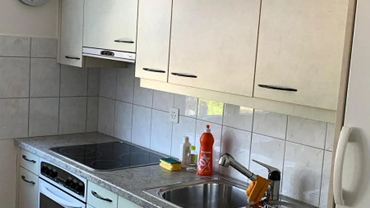 Apartment for rent - Adlikerstrasse 77, 8105 Regensdorf - Photo 4