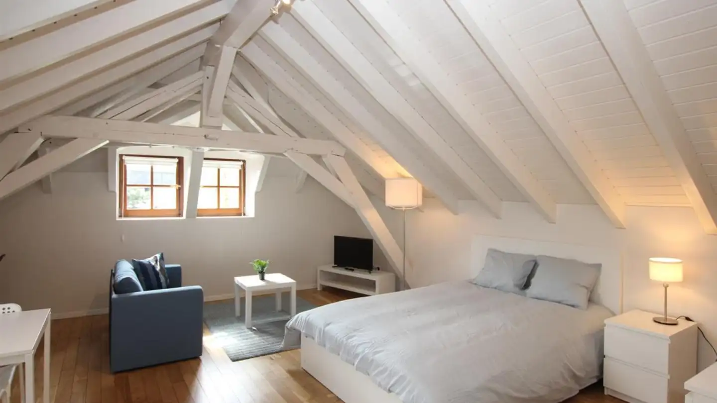 Furnished apartment for rent - Rue De Montbrillant 21, 1201 Genève