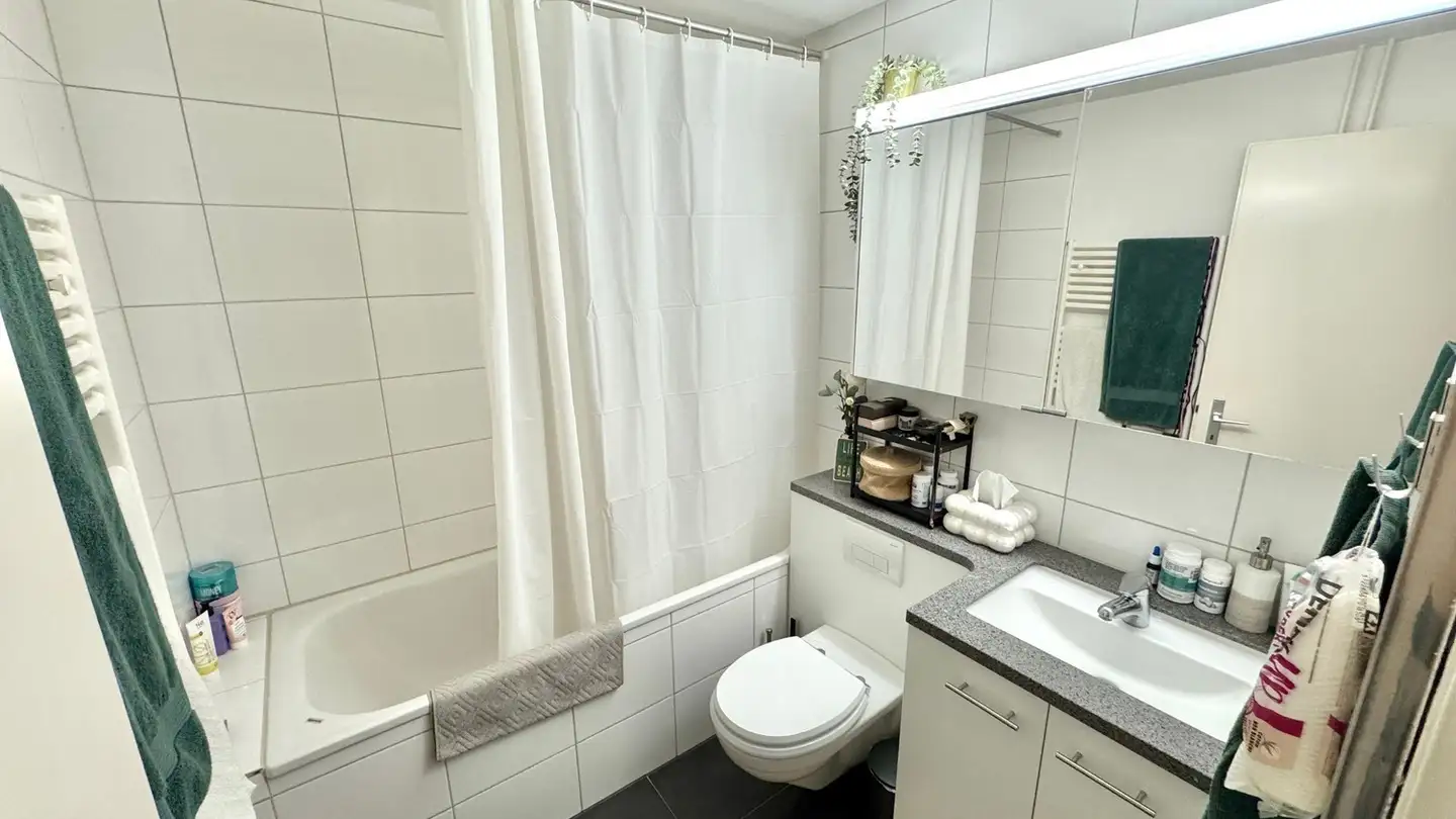 Furnished apartment for rent - Schützenstrasse 42a, 8400 Winterthur - Photo 3