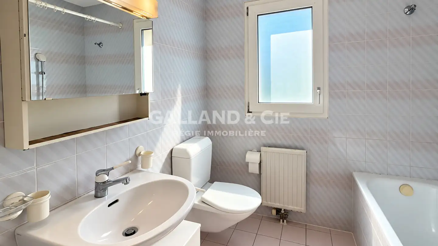 Appartamento in affitto - Chemin Du Mont-Blanc 2, 1023 Crissier