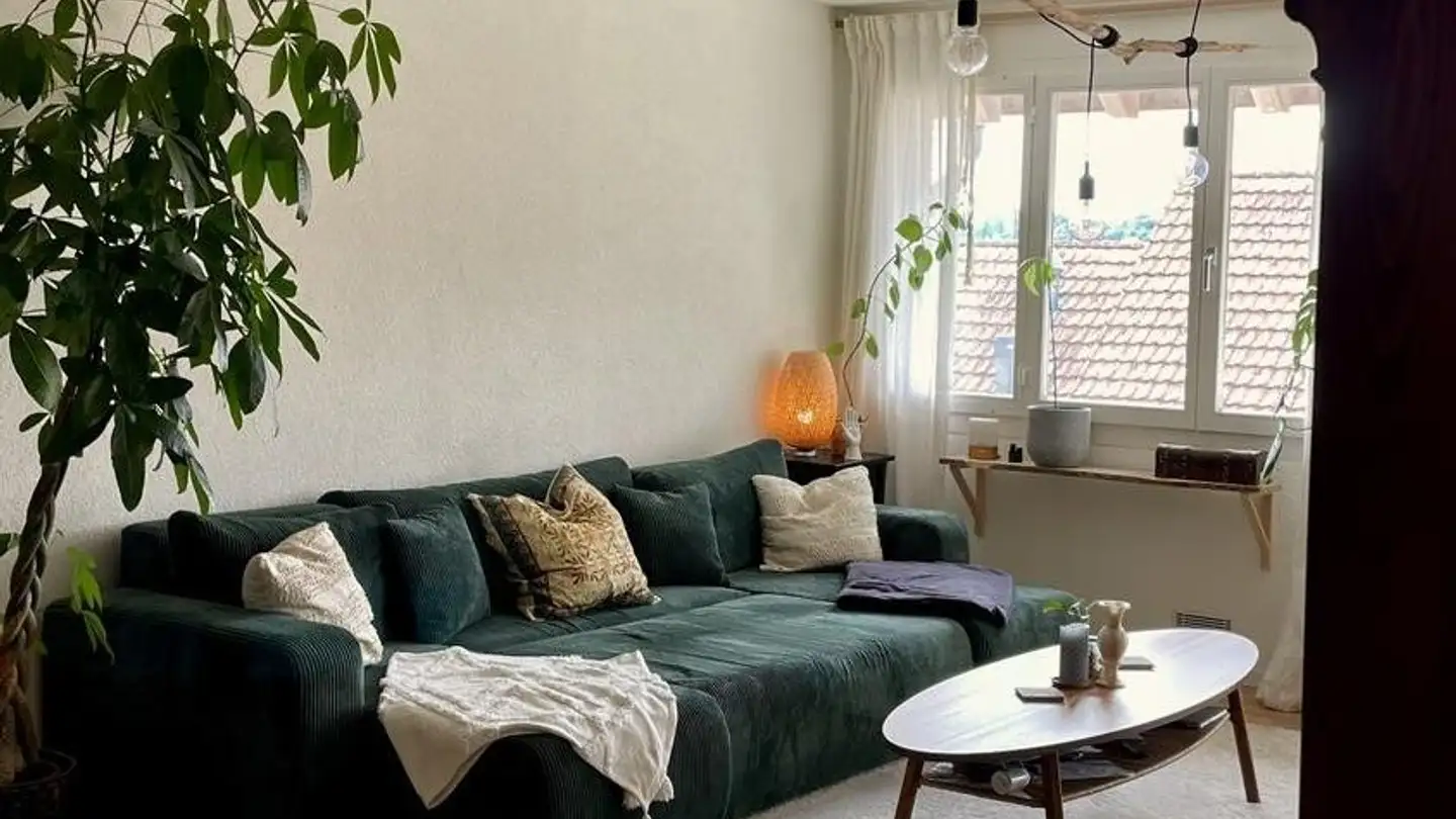 Apartment for rent - 8907 Wettswil