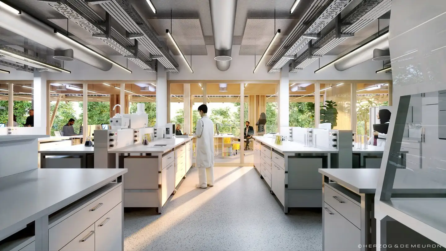 Commerciale in affitto - Hegenheimermattweg 169, 4123 Allschwil - Photo 2