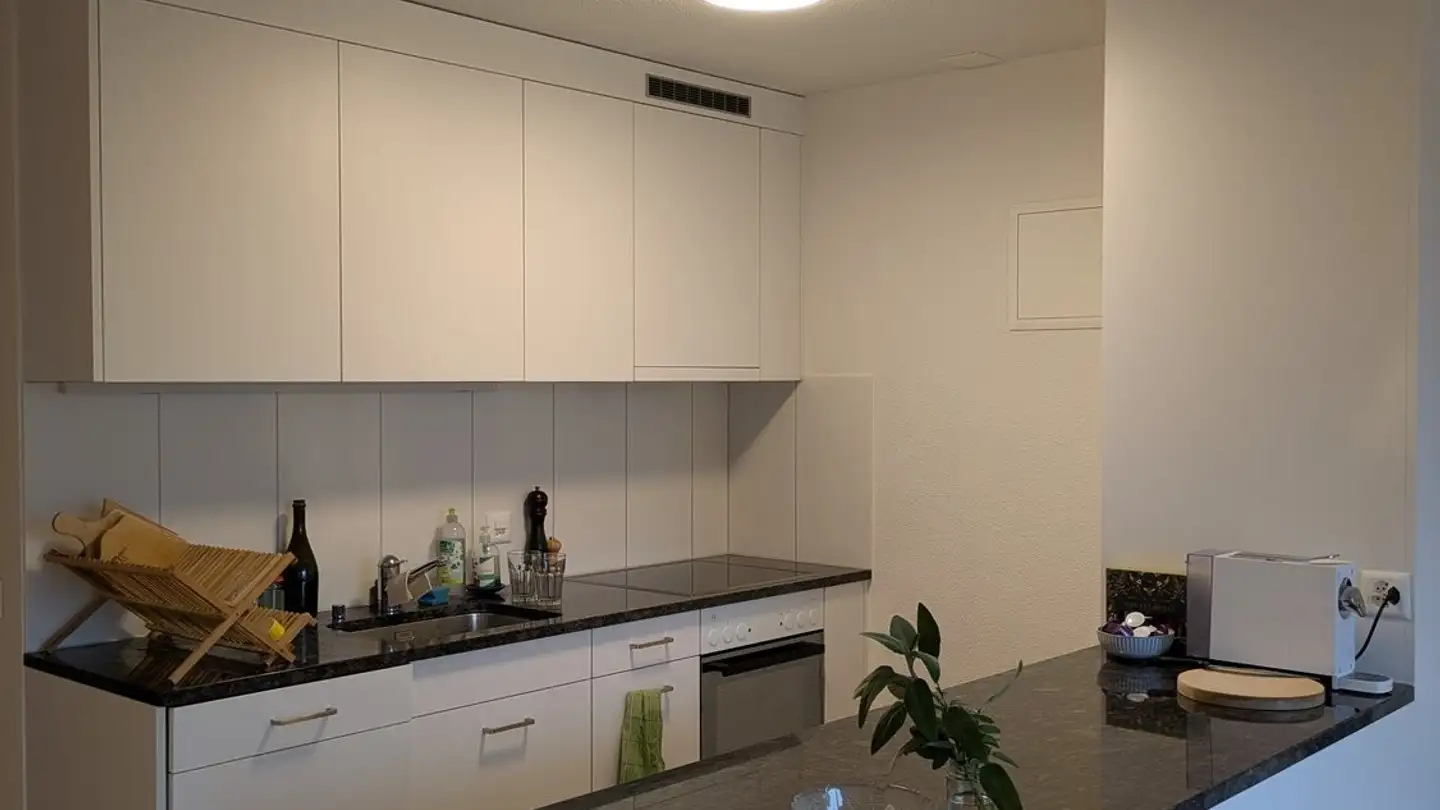 Appartamento in affitto - Guldenenstrasse 4, 8610 Uster - Photo 3