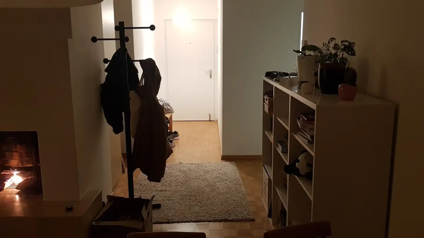 Appartement à louer - Breitestrasse, 8903 Birmensdorf ZH - Photo 3