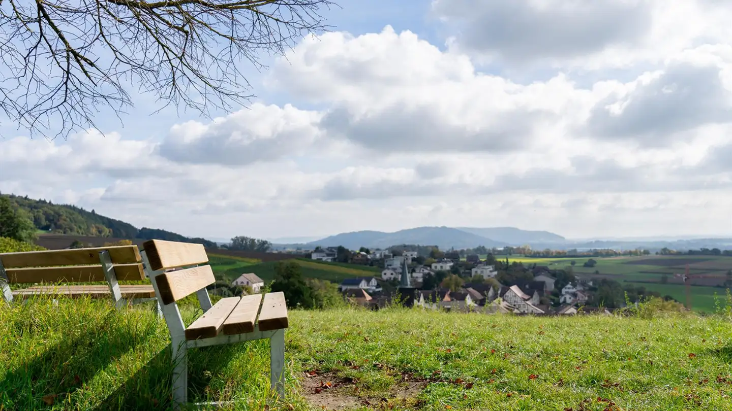 Casa singola in vendita - Dorfstrasse 39, 8239 Dörflingen - Foto 3
