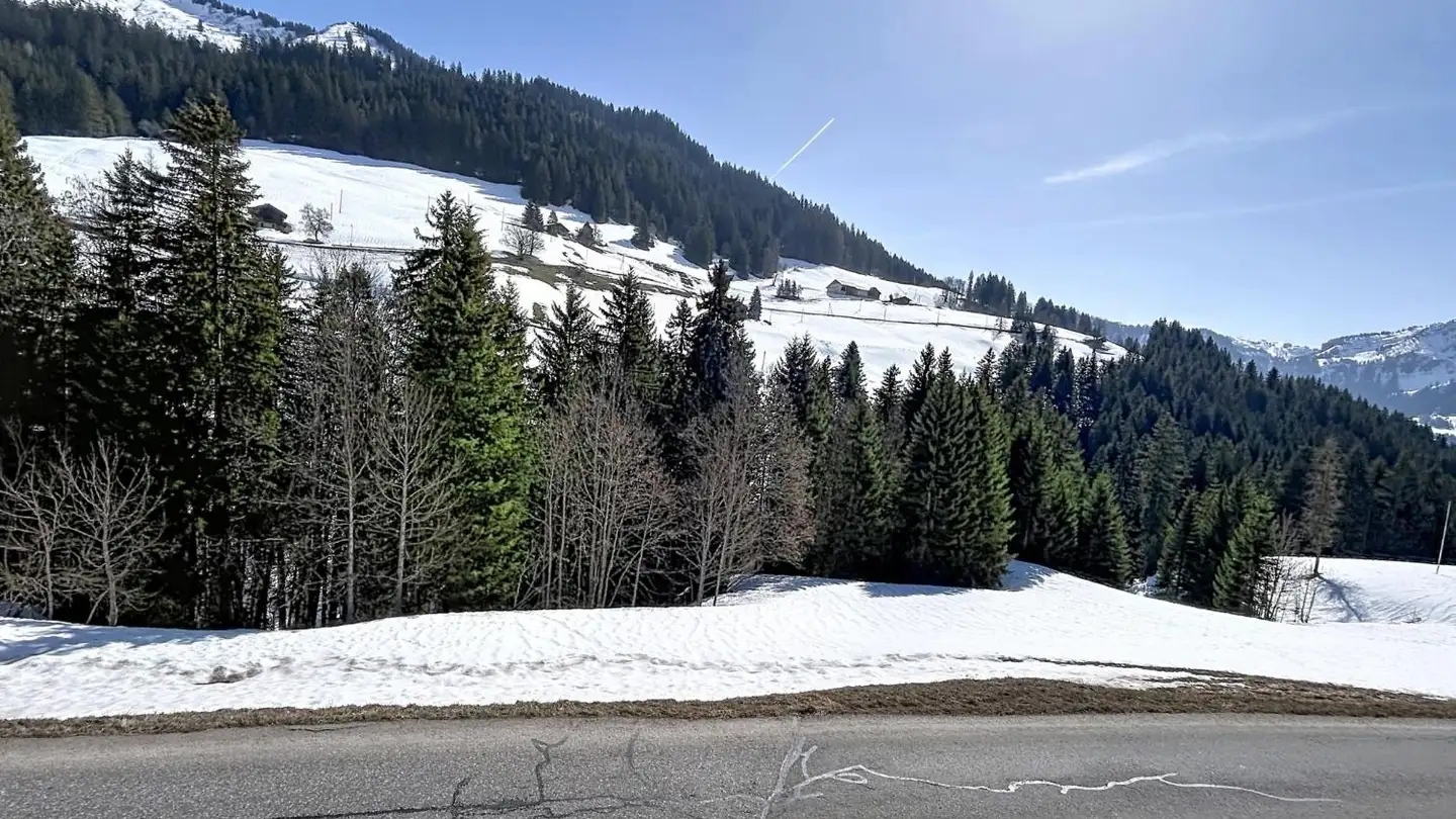 Chalet for sale - 1862 Les Mosses