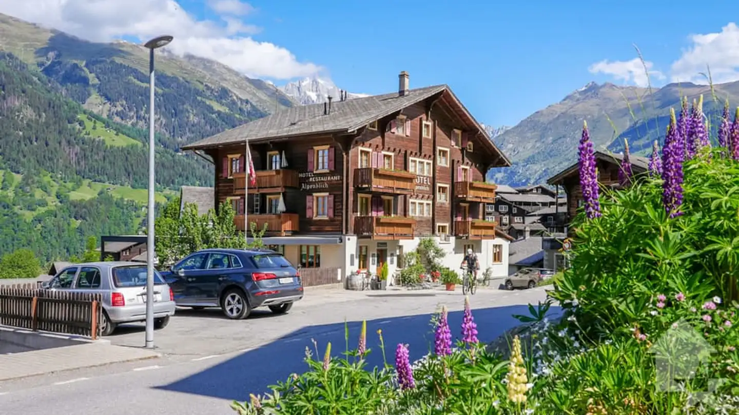 Commercial for sale - 3995 Ernen - Photo 3