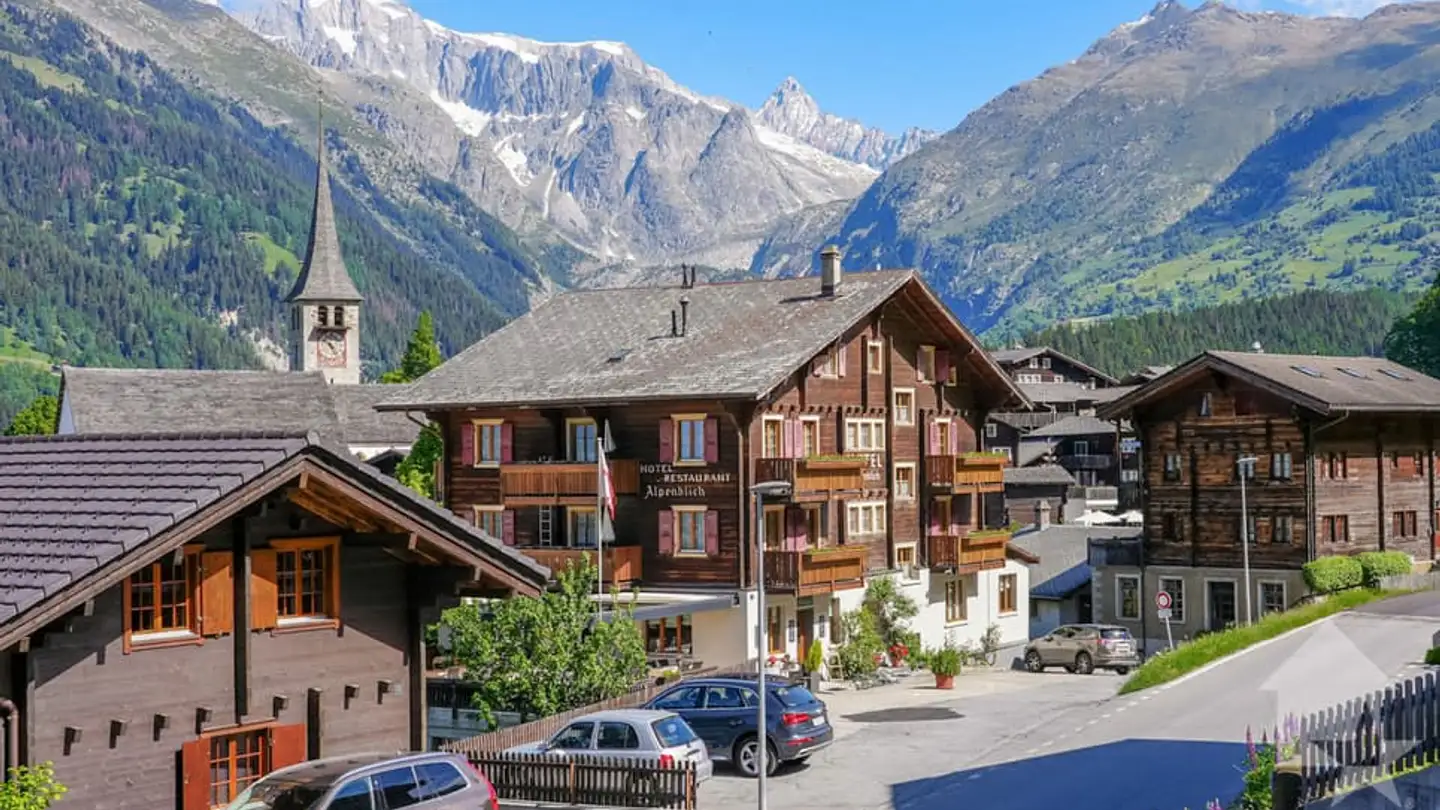 Commercial for sale - 3995 Ernen - Photo 4