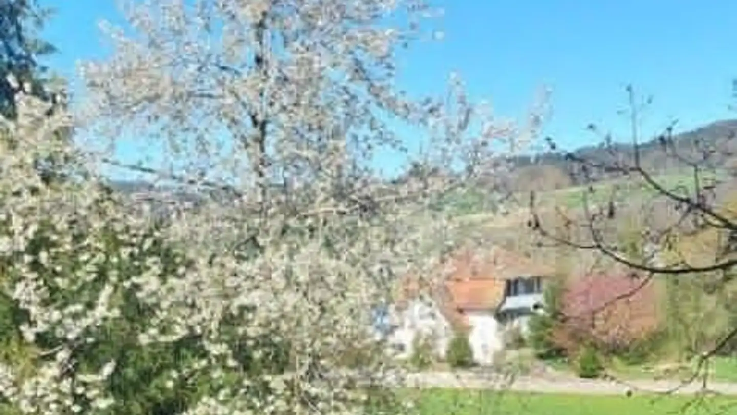 Einfamilienhaus mieten - 5728 Gontenschwil - Foto 2