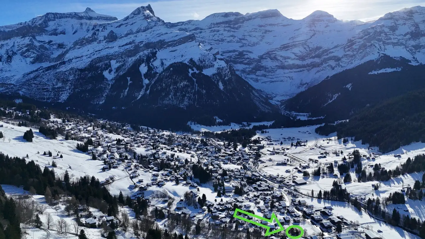 Appartement à vendre - Route Du Pillon, 1865 Les Diablerets - Photo 3