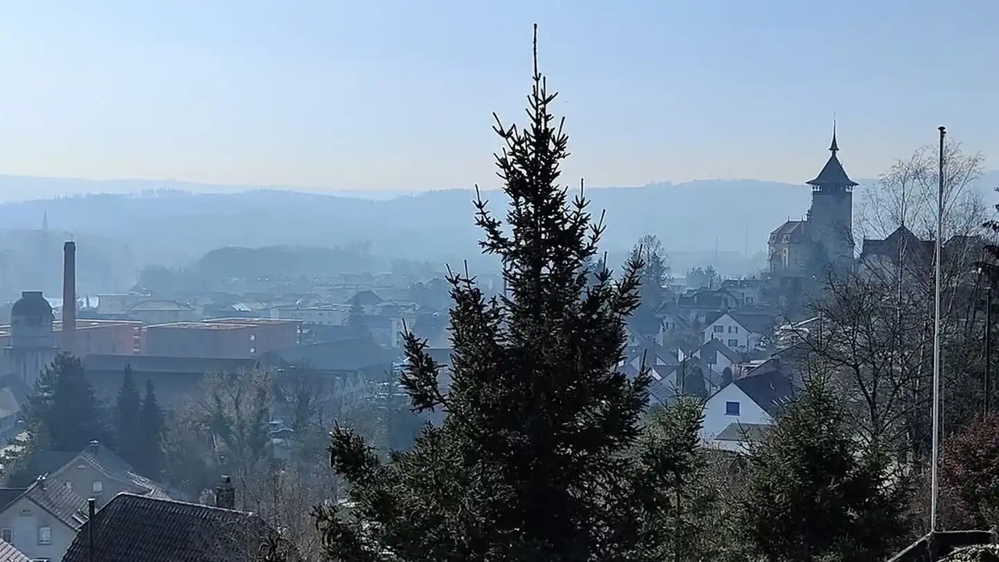 Appartamento in affitto - Schulstrasse 39d, 5013 Niedergösgen - Foto 3
