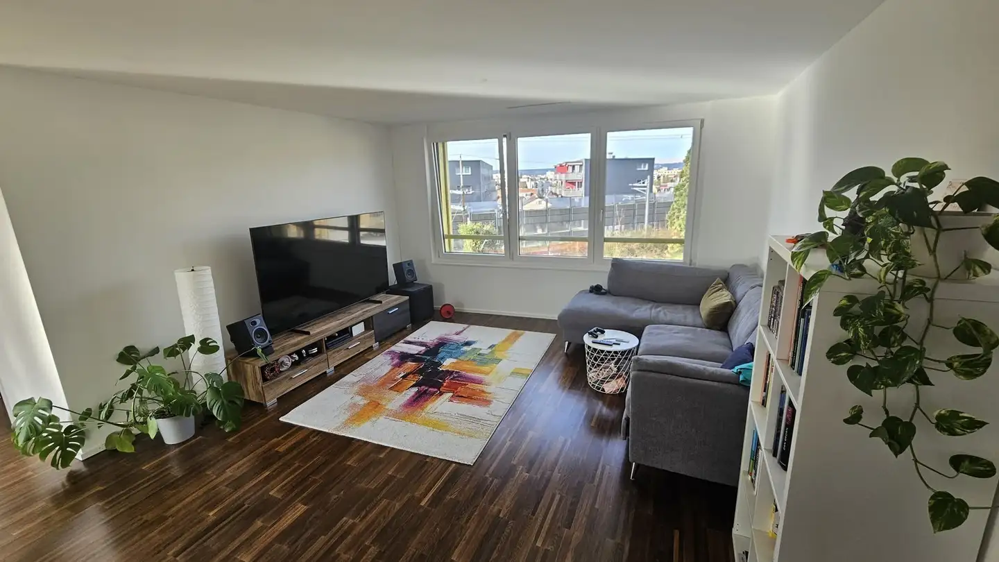 Chambre à louer - 8052 Zürich