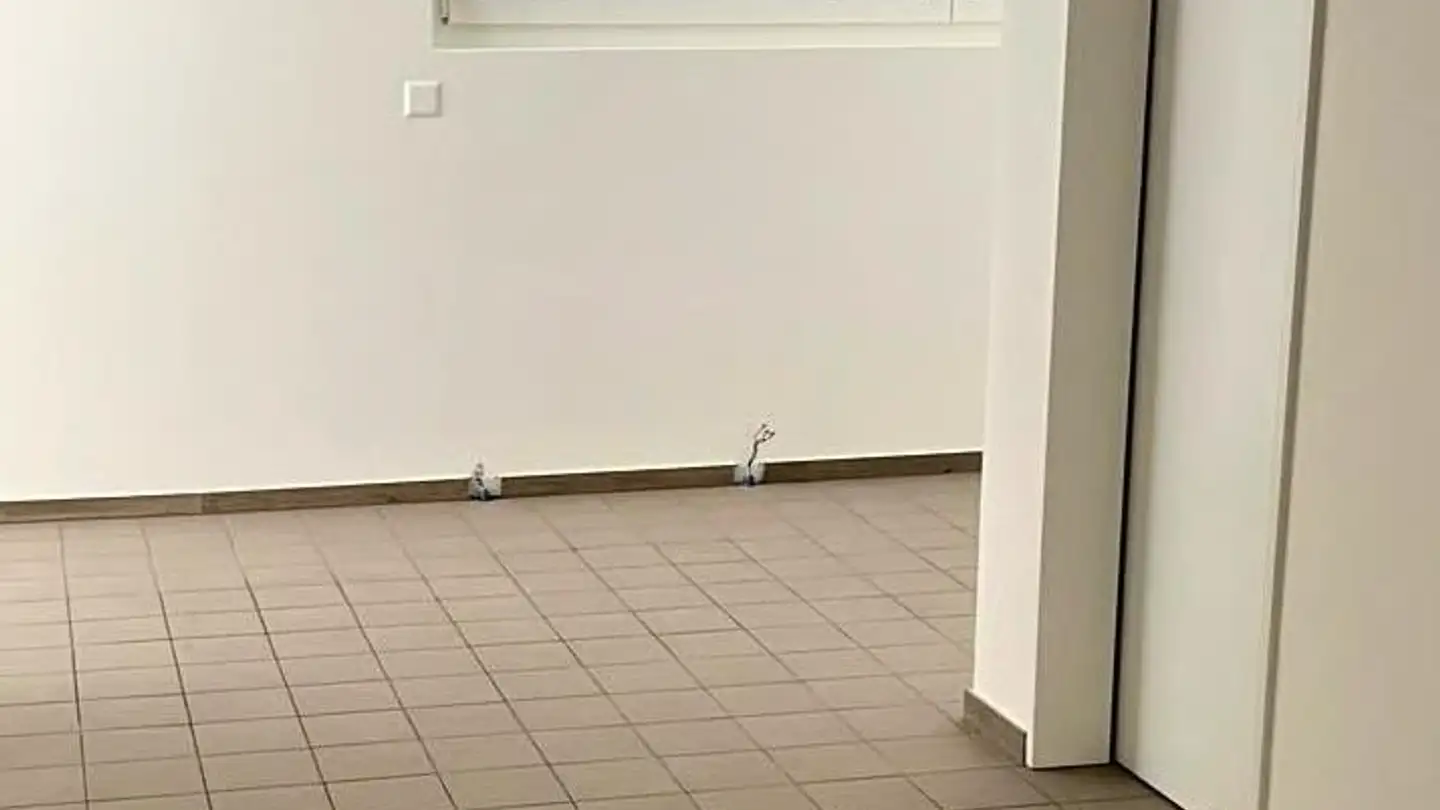Gewerbe mieten - Oberdorf 37, 6403 Küssnacht am Rigi - Foto 3