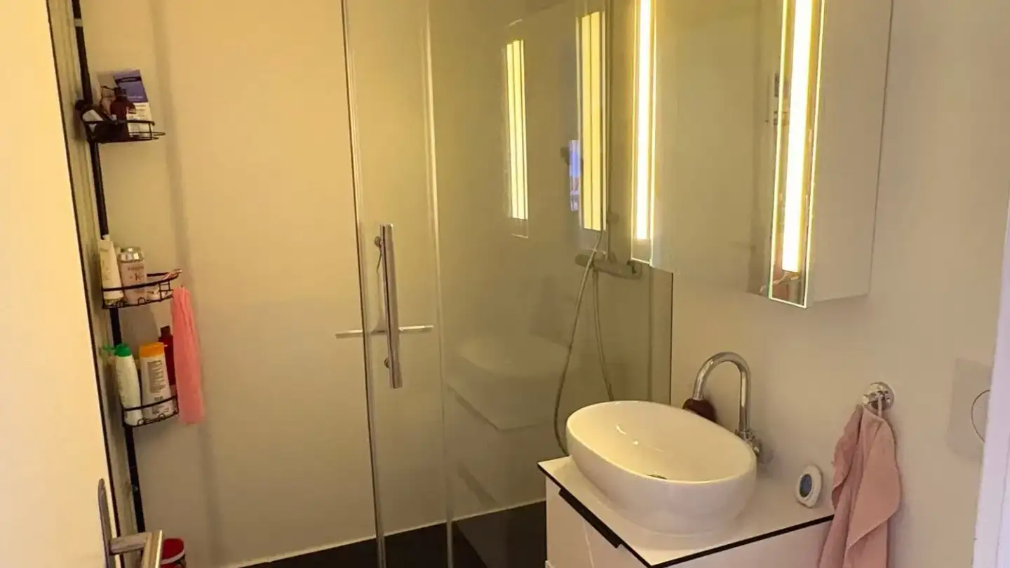 Appartamento a gradini in affitto - Reidholzstrasse 1, 8805 Richterswil - Foto 4