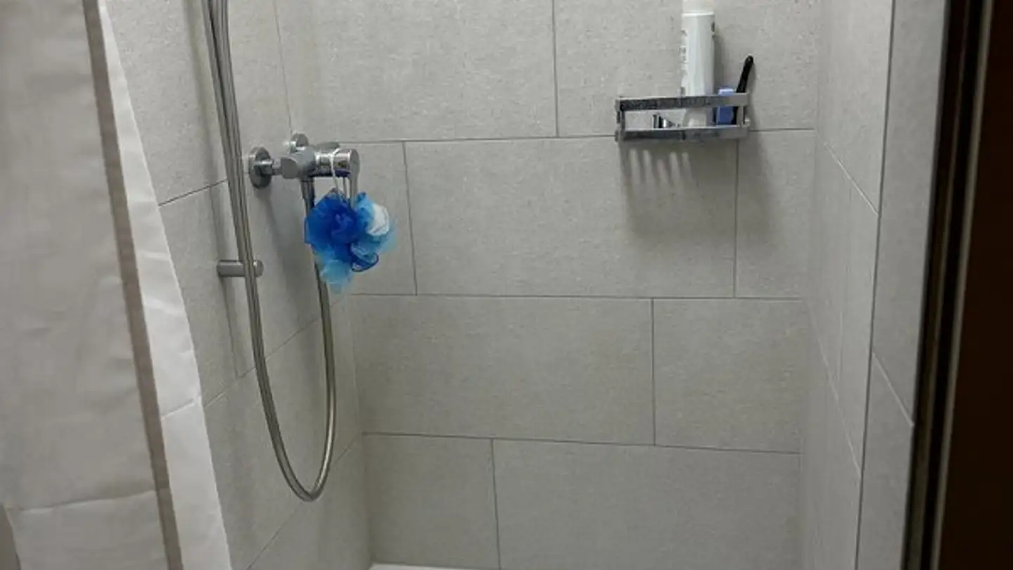 Appartamento in affitto - Seestrasse 80, 8267 Berlingen - Foto 4