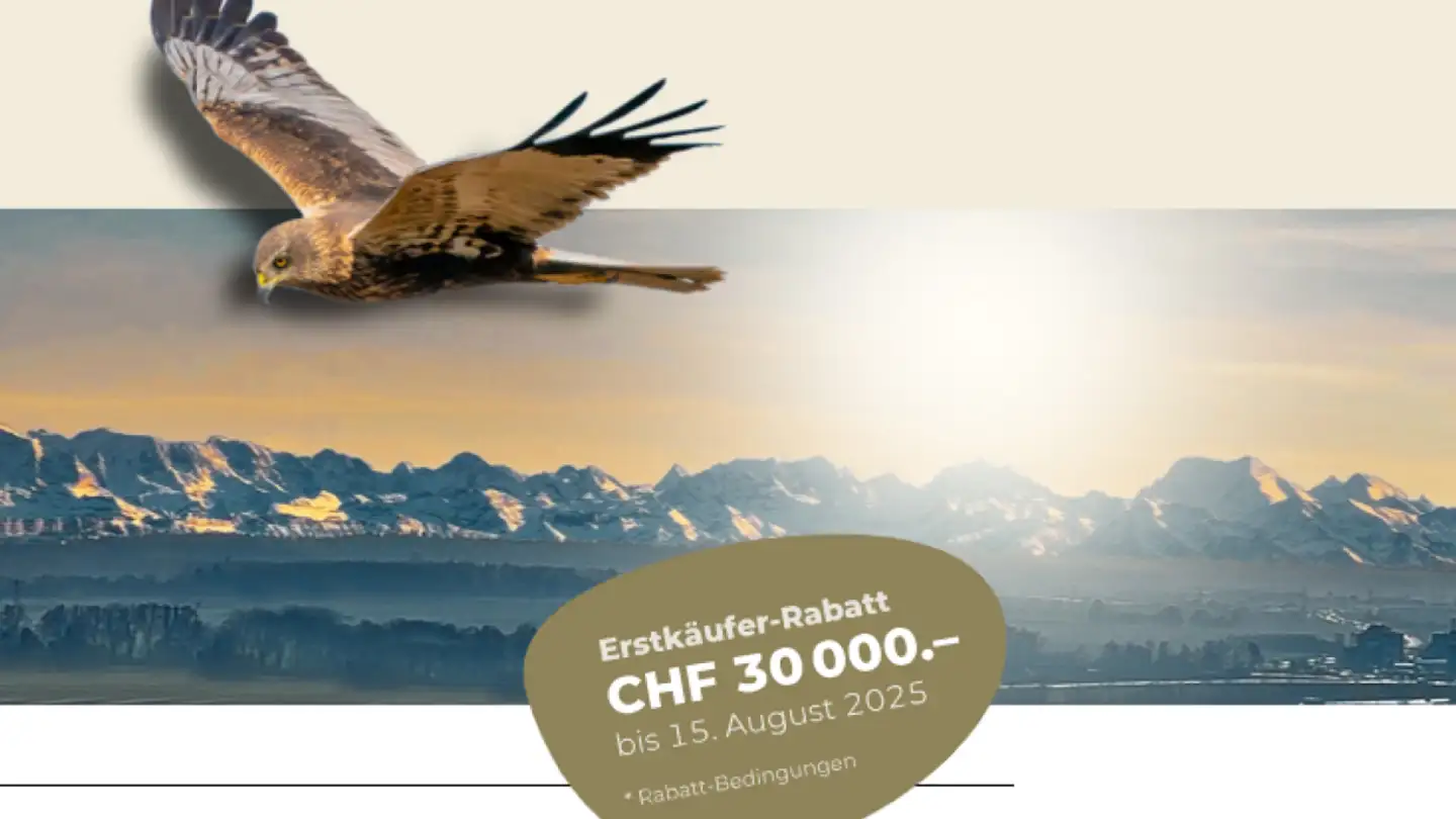 Duplex in vendita - Vogelherdstrasse 12, 4702 Oensingen - Photo 2