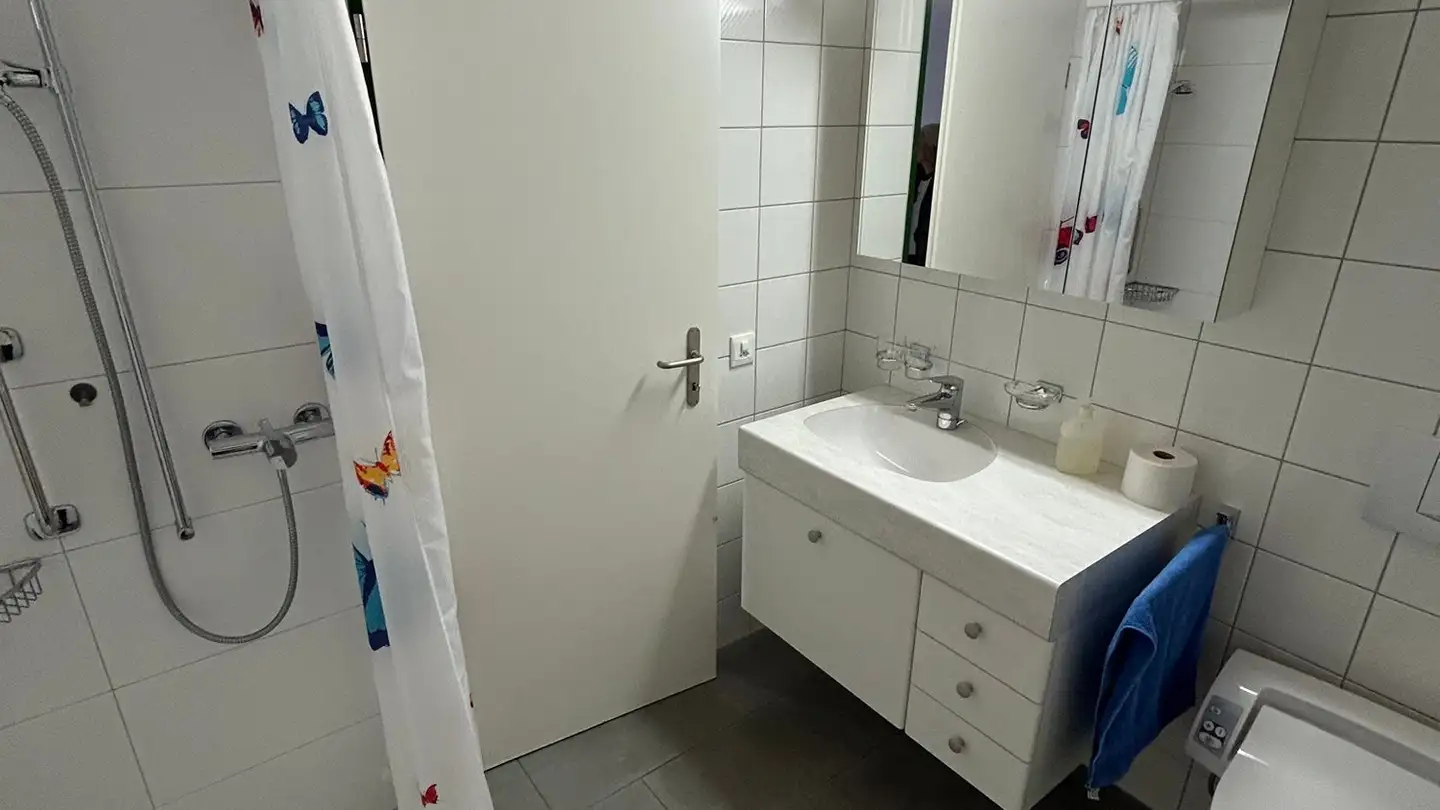 Appartamento in affitto - Röschenzstrasse 49, 4242 Laufen - Foto 2