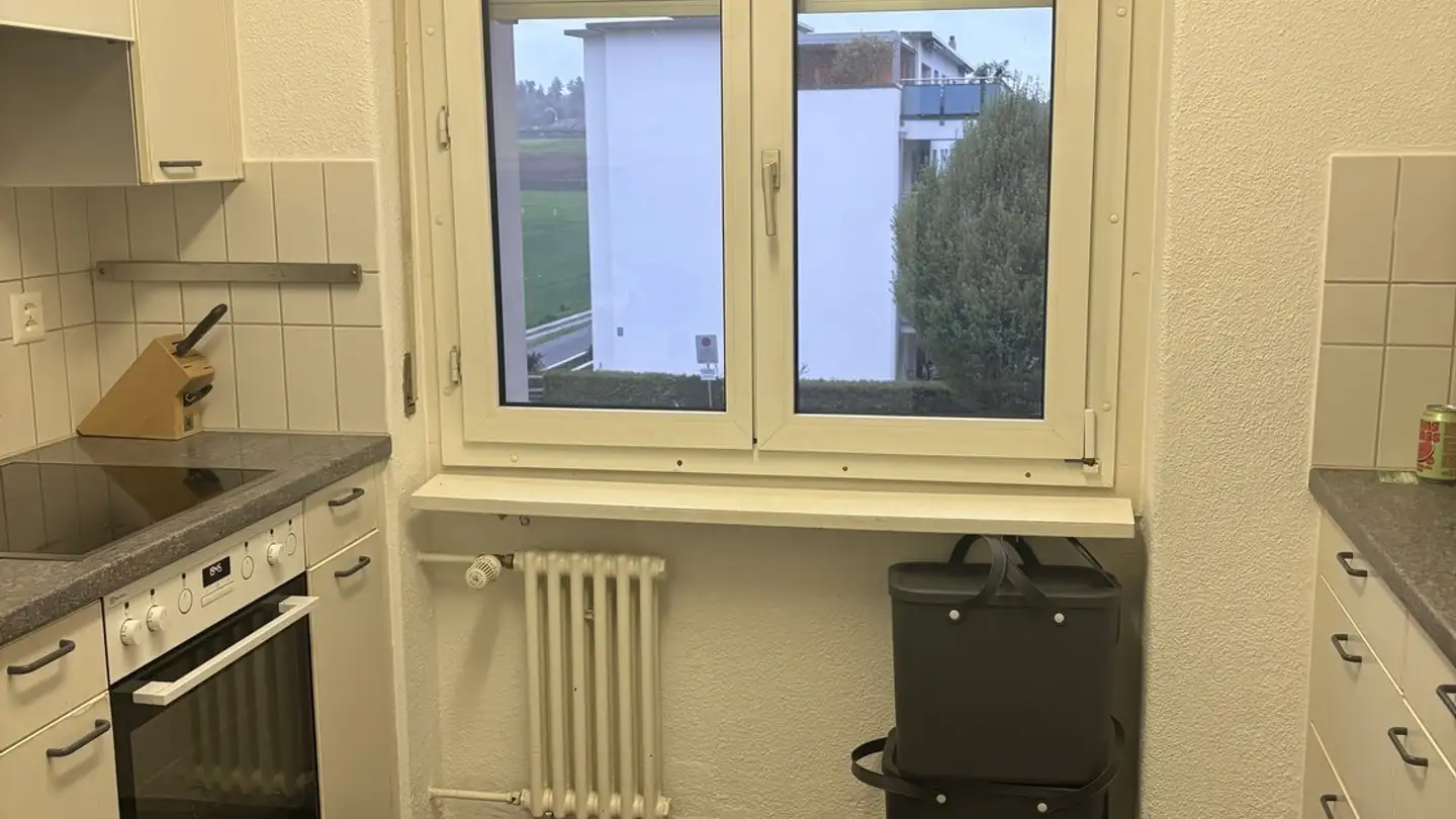 Appartamento in affitto - Aufwiesenstrasse 25, 8305 Dietlikon - Foto 3