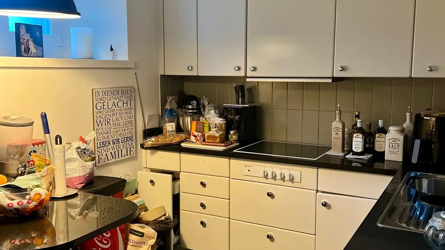 Duplex à louer - Waldistrasse 60, 8135 Langnau am Albis - Photo 3